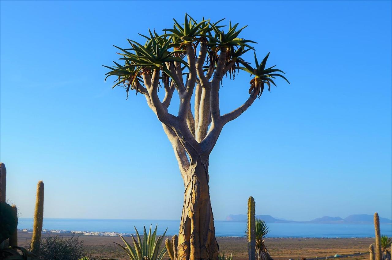 El Refugio Daire Famara Dış mekan fotoğraf